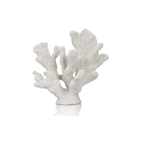 Coral Reef